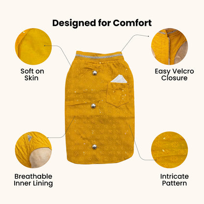 Nootie Dog Sherwani - Yellow