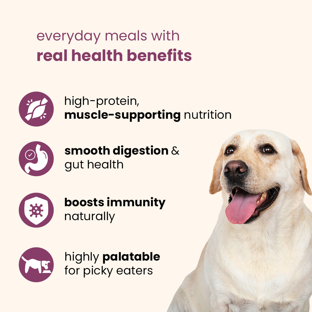 Nibblr Daily Chicken Liver, Beetroot & Rice (300g) - Fresh Wholesome Dog Meal