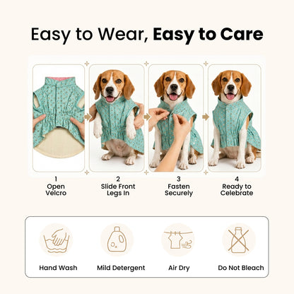 Nootie Dog Kurta - Light Teal Blue Brocade | Traditional Ethnic Outfit for Weddings, Festivals and Celebrations