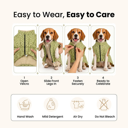 Nootie Dog Kurta - Lime Brocade | Traditional Ethnic Outfit for Weddings, Festivals and Celebrations