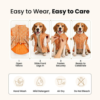 Nootie Dog Kurta - Peach Brocade | Traditional Ethnic Outfit for Weddings, Festivals and Celebrations