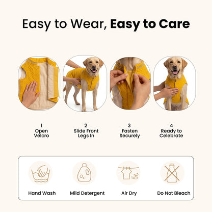 Nootie Dog Sherwani - Yellow