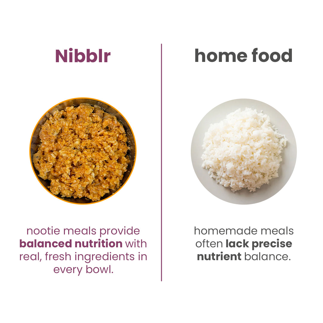 Nibblr Daily Chicken Liver, Beetroot & Rice (300g) - Fresh Wholesome Dog Meal