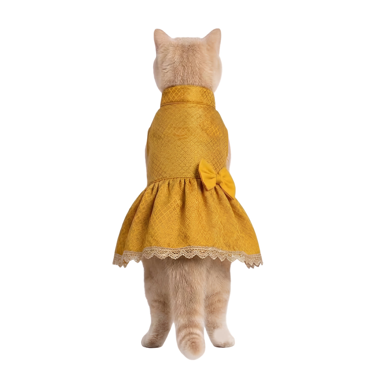 Nootie Dog Festive Brocade Skirt & Blouse - Yellow