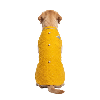 Nootie Dog Sherwani - Yellow