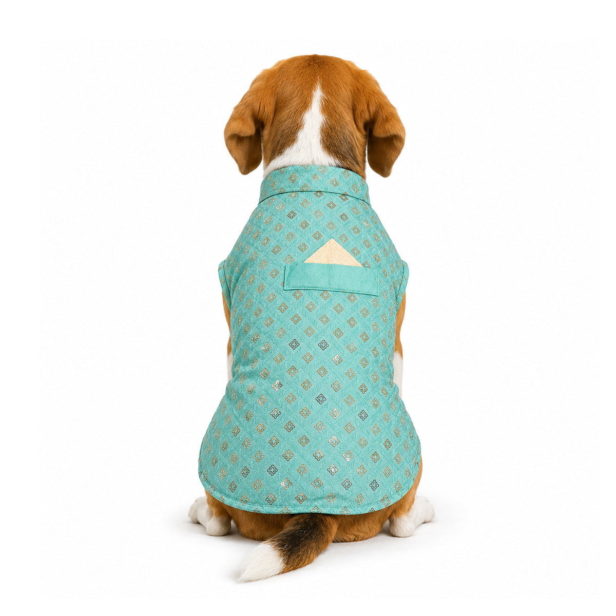 Nootie Dog Kurta - Light Teal Blue Brocade | Traditional Ethnic Outfit for Weddings, Festivals and Celebrations