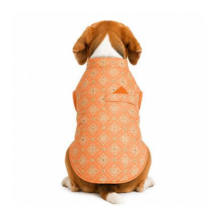 Nootie Dog Kurta - Peach Brocade | Traditional Ethnic Outfit for Weddings, Festivals and Celebrations
