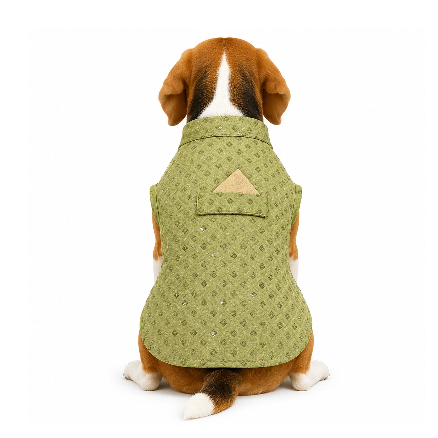 Nootie Dog Kurta - Lime Brocade | Traditional Ethnic Outfit for Weddings, Festivals and Celebrations