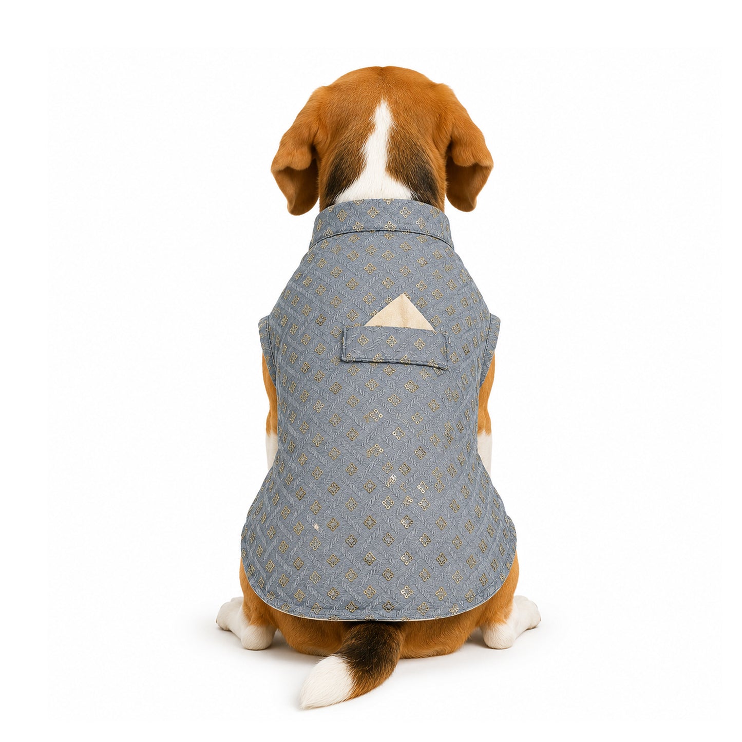 Nootie Dog Kurta - Grey Brocade | Traditional Ethnic Outfit for Weddings, Festivals and Celebrations