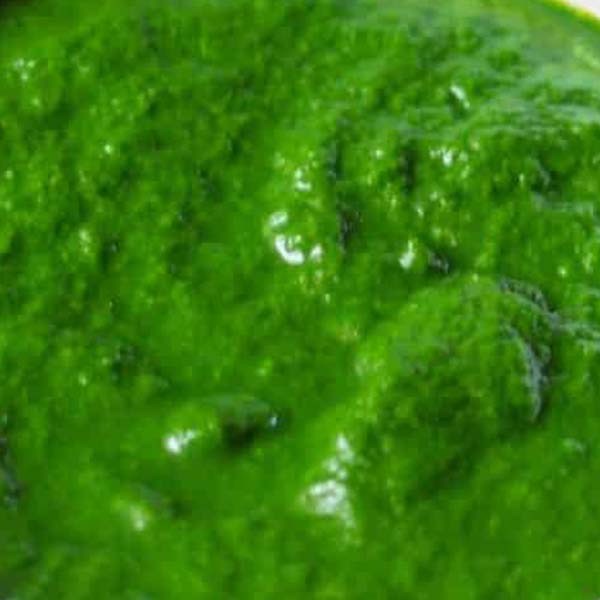 spinach paste