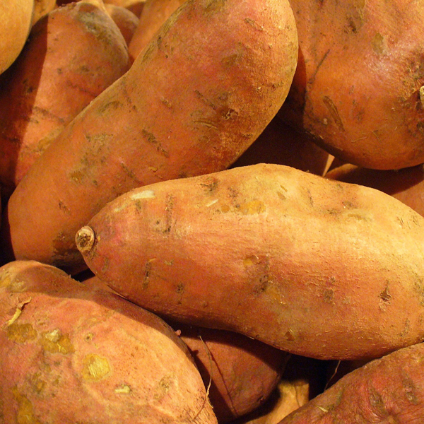 sweet potato