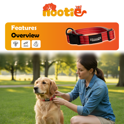 Nootie Plush Padded Collar – Grey with Blue Detailing | Adjustable, Durable & Comfortable for All Breeds (Copy)