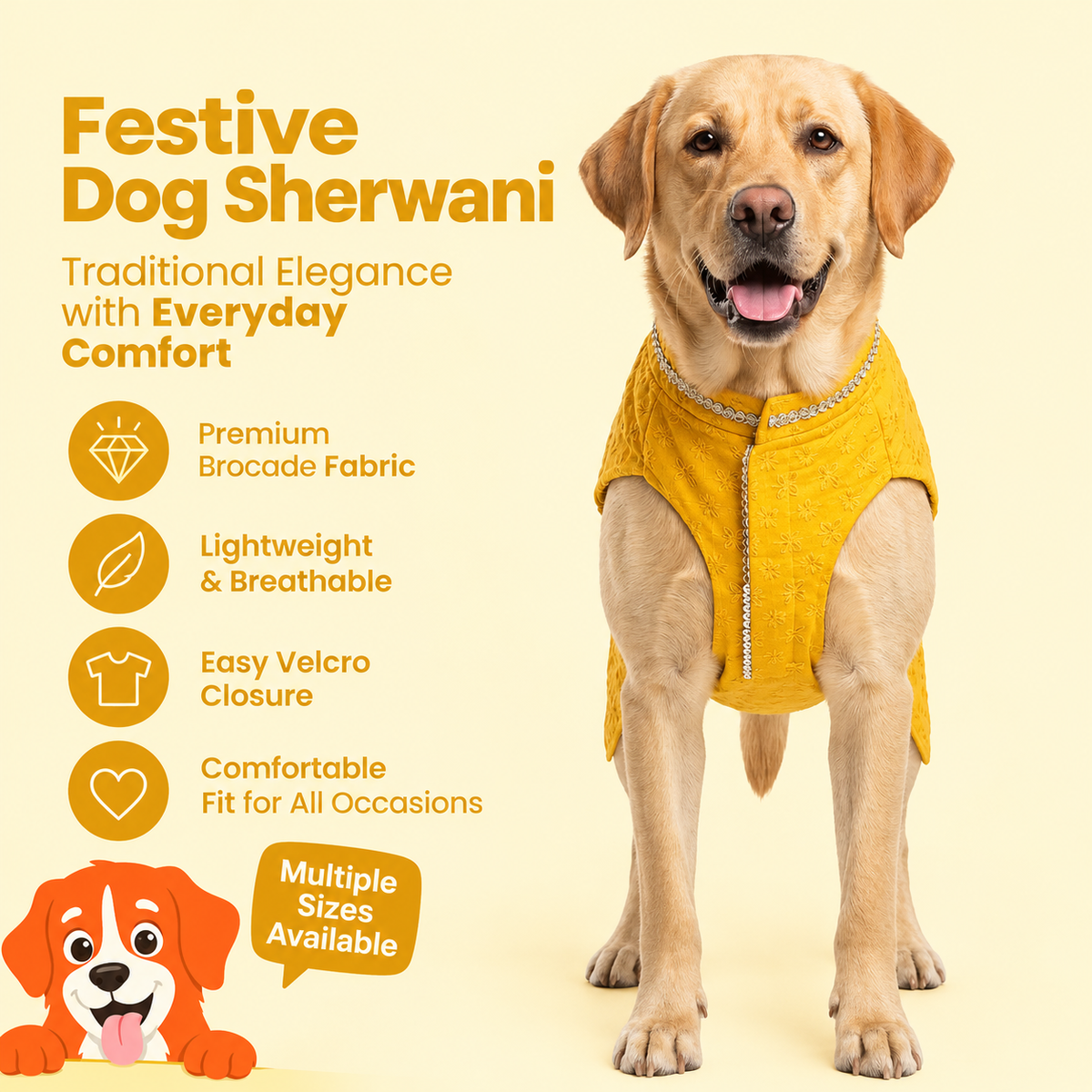 Nootie Dog Sherwani - Yellow